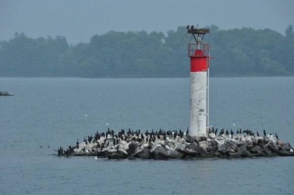 Uma das pequenas ilhas entre as mais de mil da região de 1000 Islands, na fronteira de Canadá e Estados Unidos